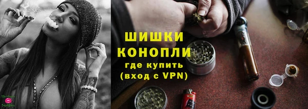 apvp Иннополис