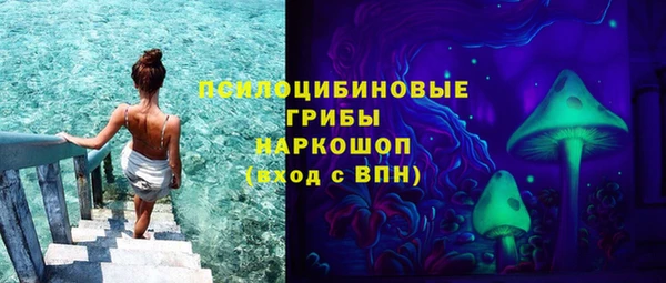apvp Иннополис