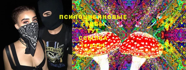 бошки Каменногорск