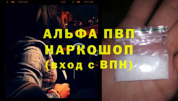 apvp Иннополис