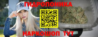молекула духа Партизанск