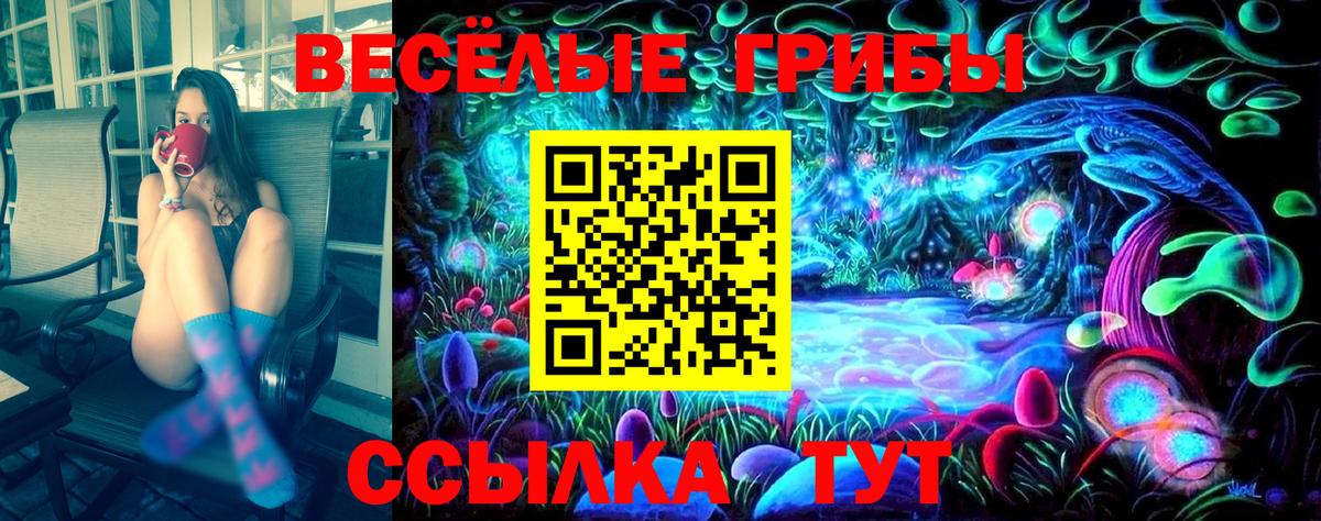 закладка  Галлюциногенные грибы Psilocybine cubensis  Вход с VPN  Кинешма 