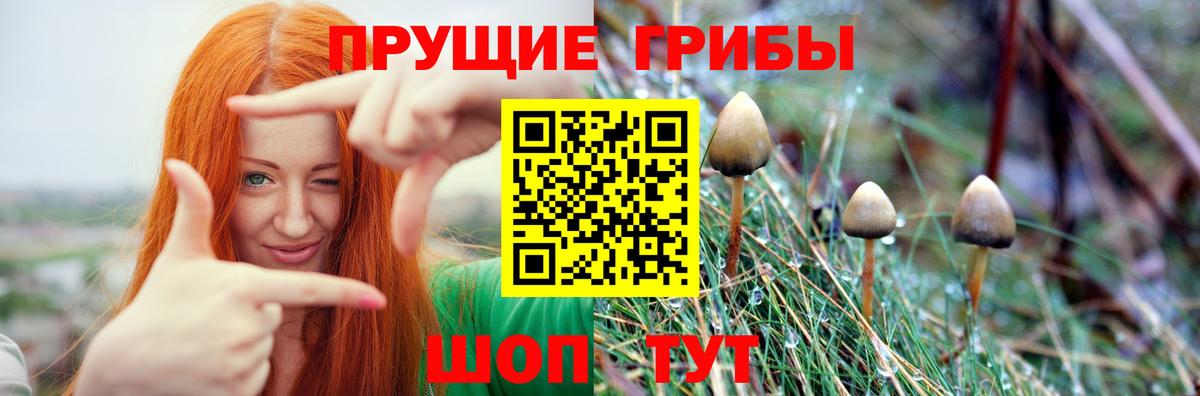 Псилоцибиновые грибы прущие грибы Кинешма