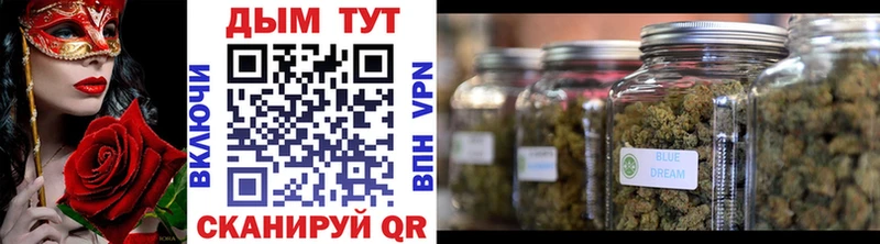 Каннабис план  где купить   Кинешма 